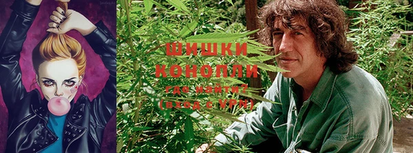 МДПВ Ростов